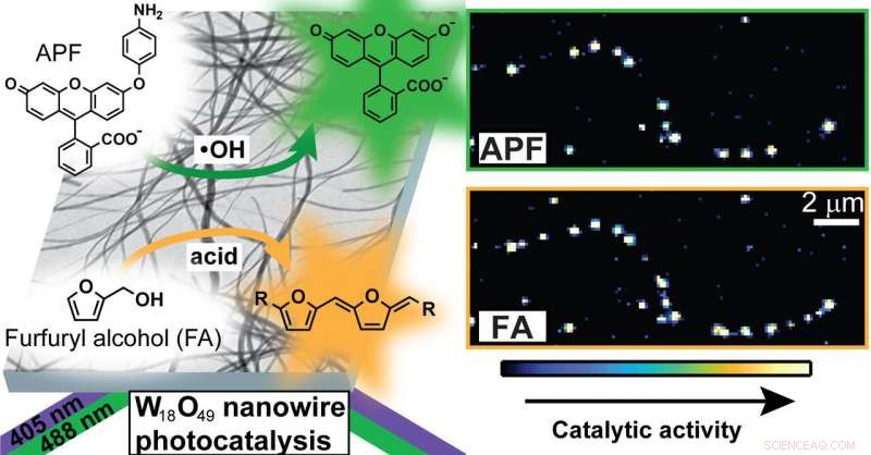 Real-Time Imaging Unveils Active Sites in Photocatalytic Tungsten Oxide Nanowires
