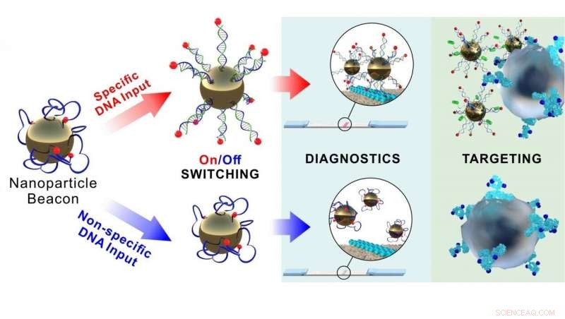 Revolutionary Supersensitive Nanomaterials Developed for Precision DNA Diagnostics and Targeted Drug Delivery