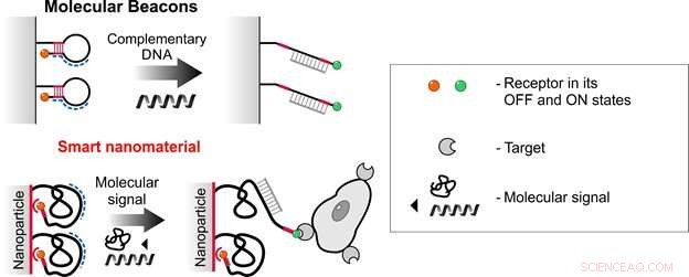 Revolutionary Supersensitive Nanomaterials Developed for Precision DNA Diagnostics and Targeted Drug Delivery