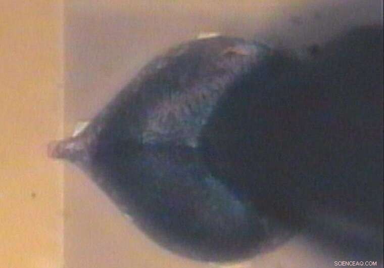 Perovskite Devices Exhibit Remarkable Resettable Single-Photon Response