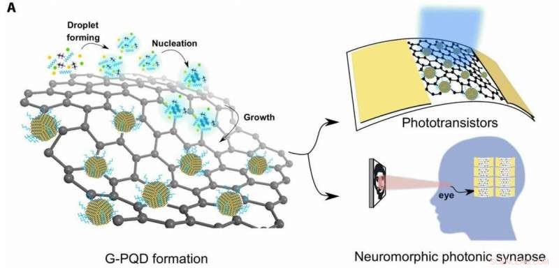 UCF Breakthrough: Brain‑Cell‑Inspired Device Mimics Human Vision