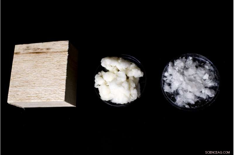 Cellulose-Based Nanomaterials Promise Cost-Effective Renewable Energy Storage