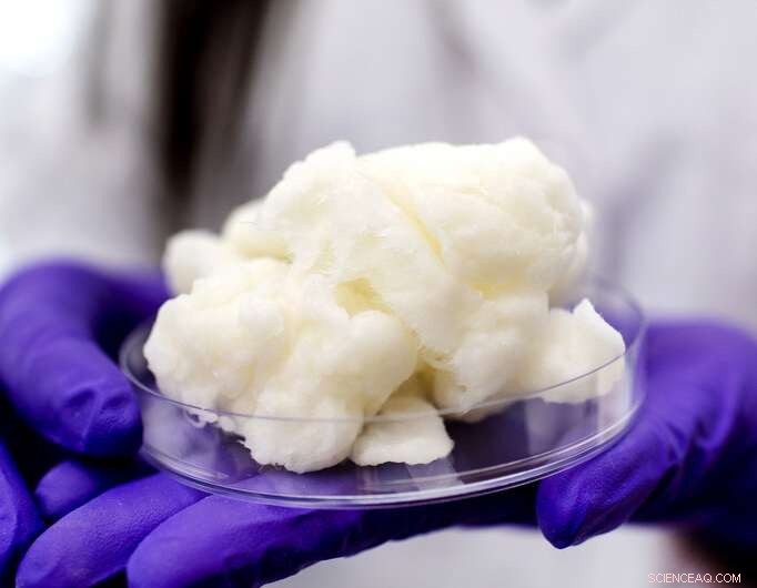 Cellulose-Based Nanomaterials Promise Cost-Effective Renewable Energy Storage