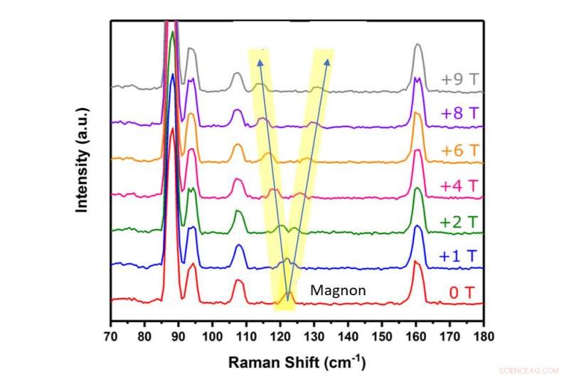 New 2‑D Magnet Discovery: Researchers Uncover Unexpected Spin Wave Behavior
