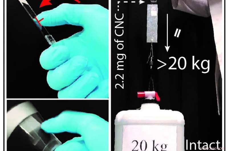 Eco-Friendly Adhesive: Cellulose Nanocrystals Create a Sustainable, High-Performance Glue