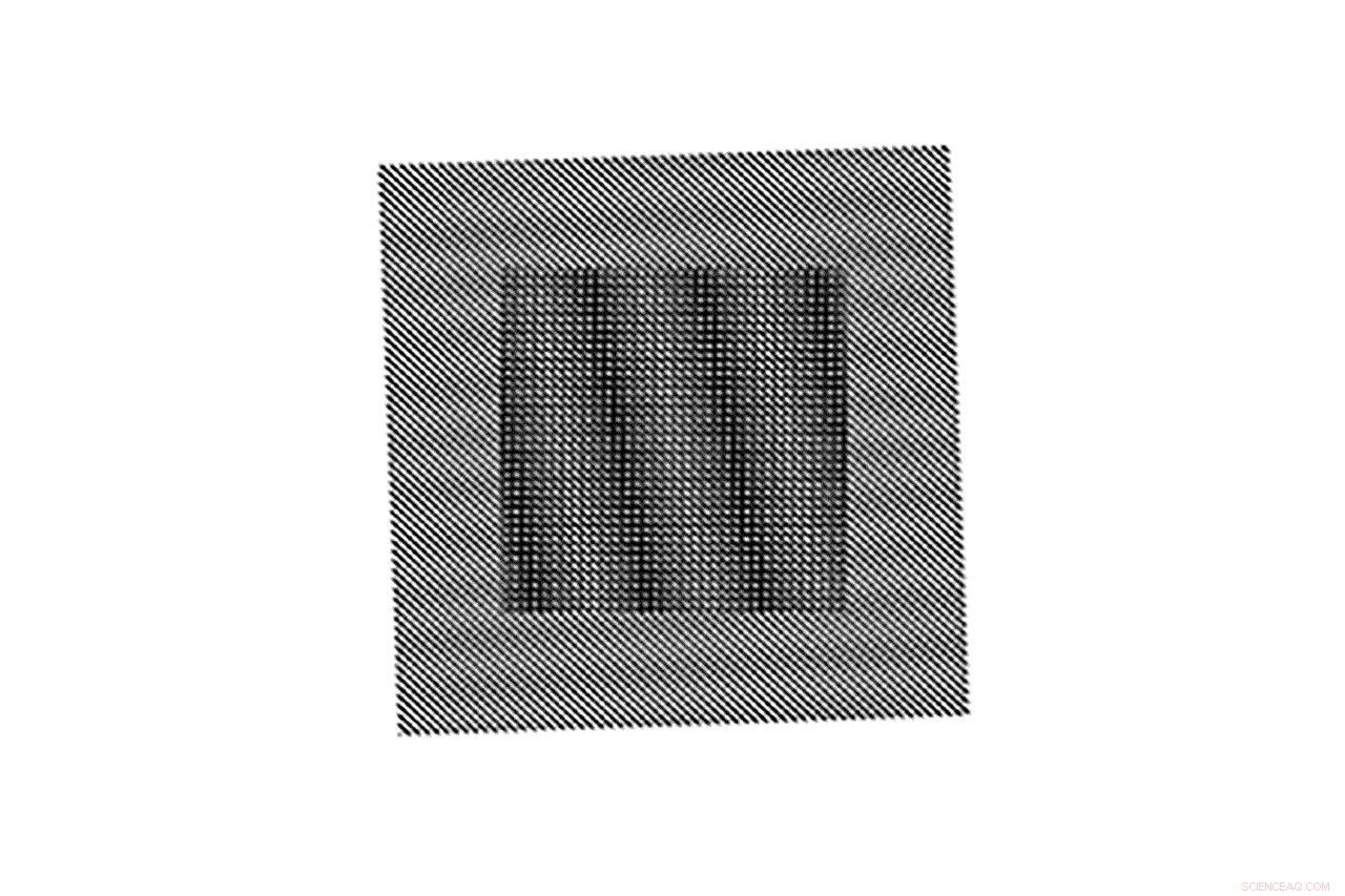 Northeastern Physicists Unveil Unexpected New State of Matter