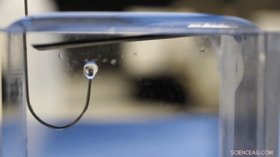 Revolutionizing Oil Separation with 2‑D Membrane Technology