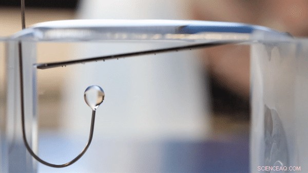 Revolutionizing Oil Separation with 2‑D Membrane Technology