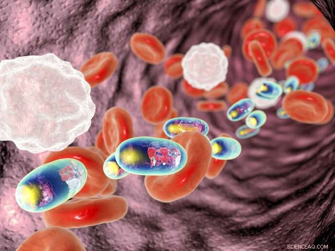 Evaluating Nanoparticle Safety in Medical Use: Risks and Environmental Impact