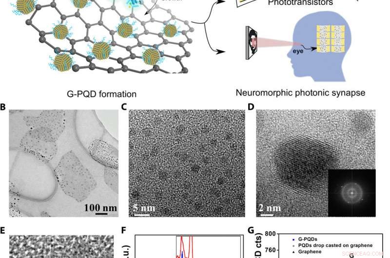 Ultra‑Sensitive, Ultra‑Thin Phototransistors & Photonic Synapses via Hybrid Superstructures