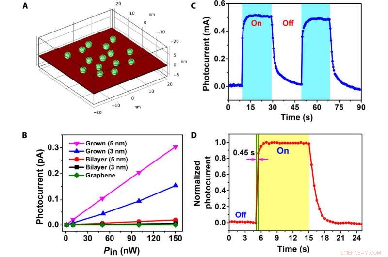 Ultra‑Sensitive, Ultra‑Thin Phototransistors & Photonic Synapses via Hybrid Superstructures