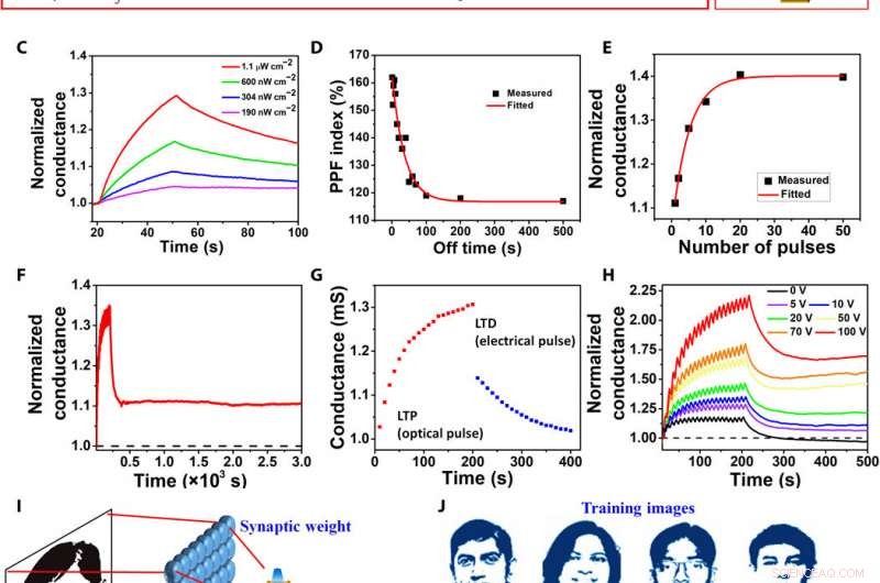 Ultra‑Sensitive, Ultra‑Thin Phototransistors & Photonic Synapses via Hybrid Superstructures