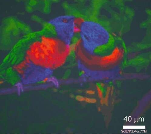 Broadening the Palette of Plasmonic Structural Colors