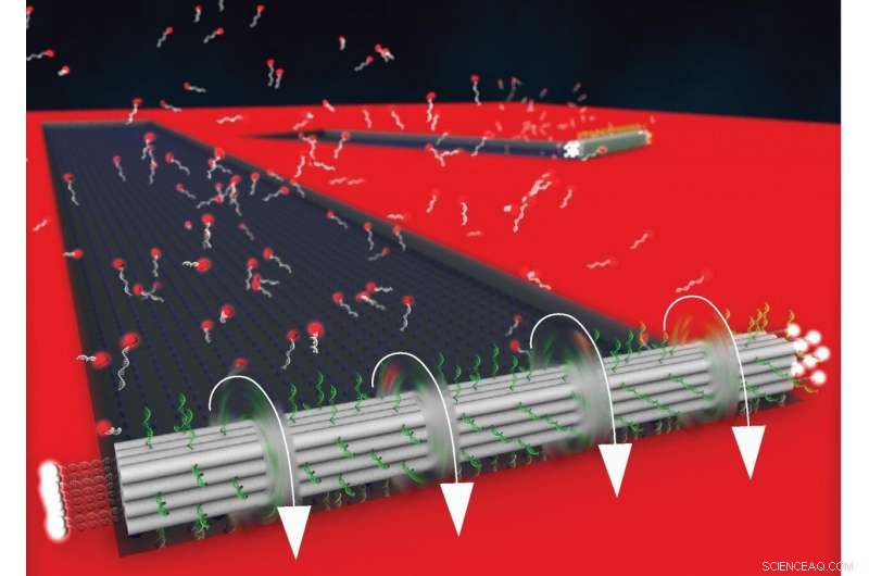 DNA Origami Motor Sets New Speed Record for Nanomachines