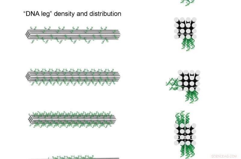 DNA Origami Motor Sets New Speed Record for Nanomachines