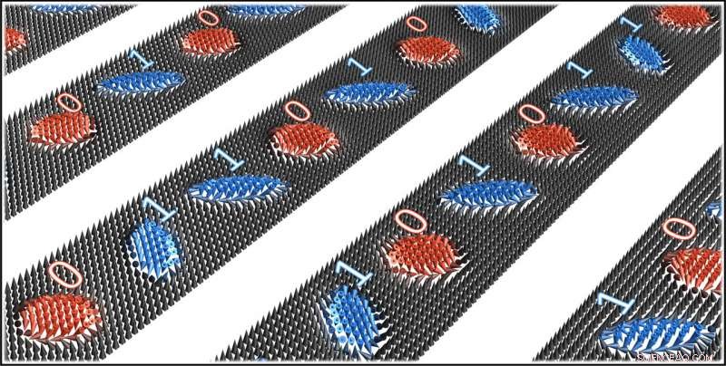 Harnessing Magnetic Whirls: Skyrmions and Antiskyrmions for Next-Gen Data Storage