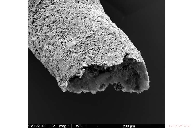 New Biomaterial Enables 3‑D Printing of Tissue‑Like Vascular Structures