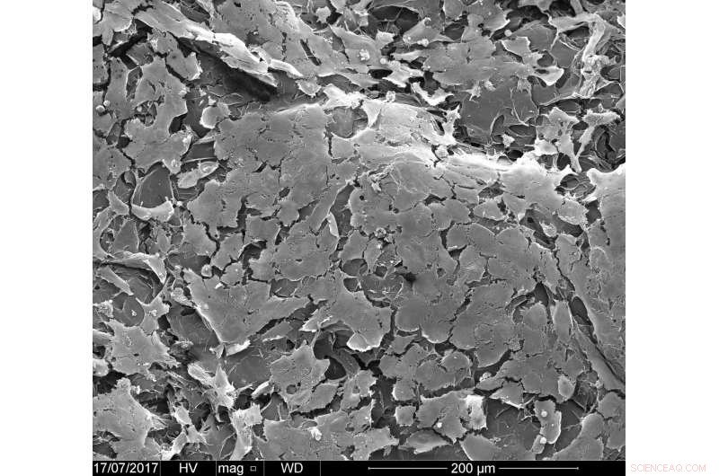 New Biomaterial Enables 3‑D Printing of Tissue‑Like Vascular Structures