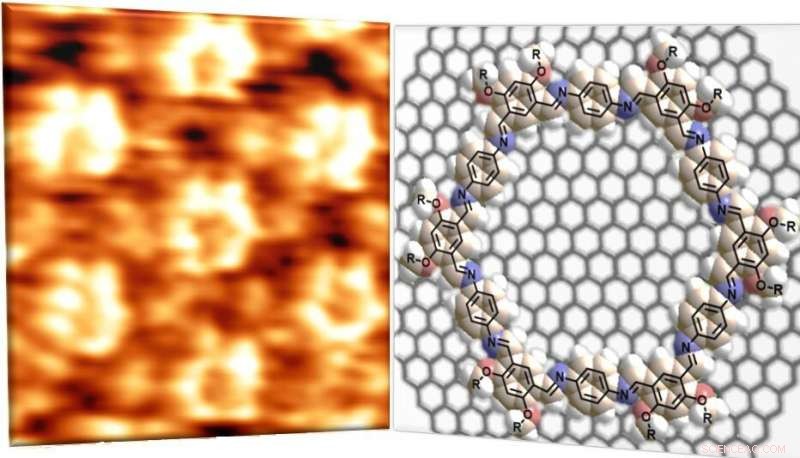 Molecular Patterning of Quantum Materials: Advanced Surface Engineering