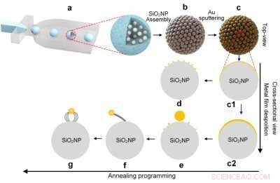 Gold‑Coated Nanoflower Bouquets: Innovative Chemical Sensors