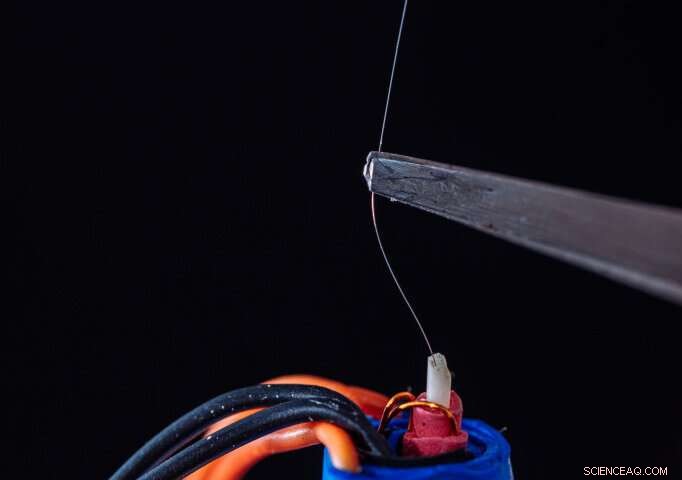 Physicists Advance Magnetic Micro‑Wire Smart Composites for Next‑Gen Biomedical Sensors