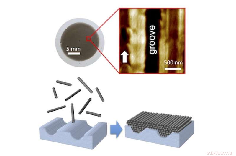 Revealing the Secret Alignment of 2D Carbon Nanotube Films