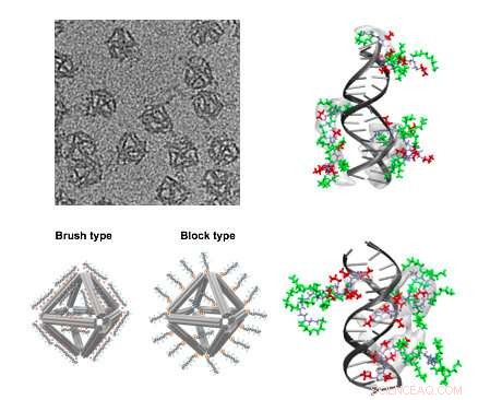 Enhancing DNA Origami Stability for Targeted Anti-Cancer Drug Delivery