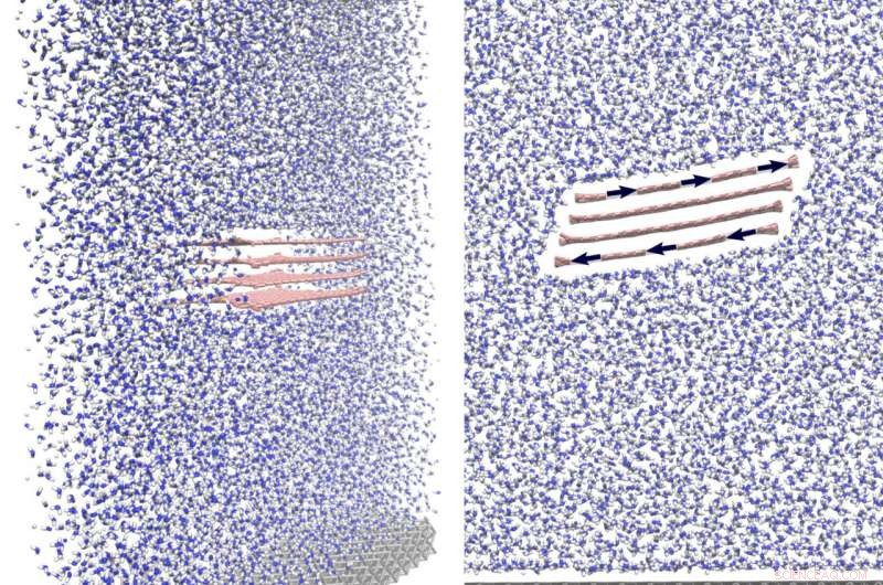TU Delft Researchers Pioneer Scalable Model for Mass Production of Ultrafine Graphene
