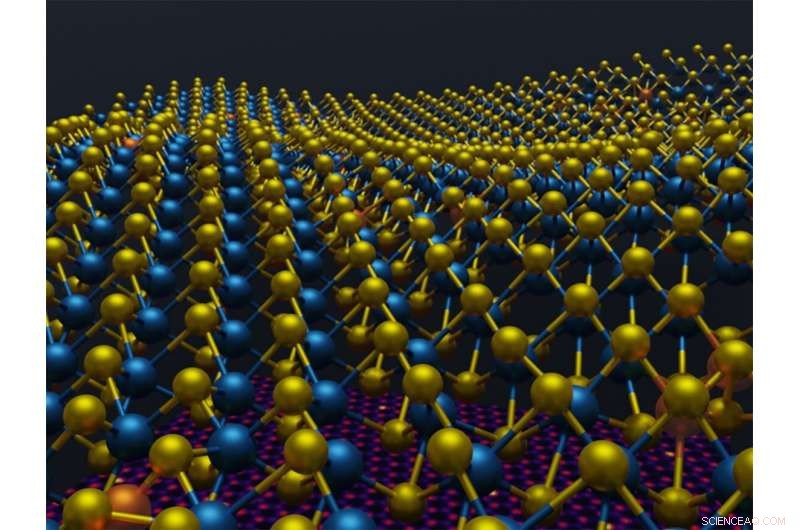 UCLA Breakthrough: Accurate 3D Atomic Maps of 2D Materials