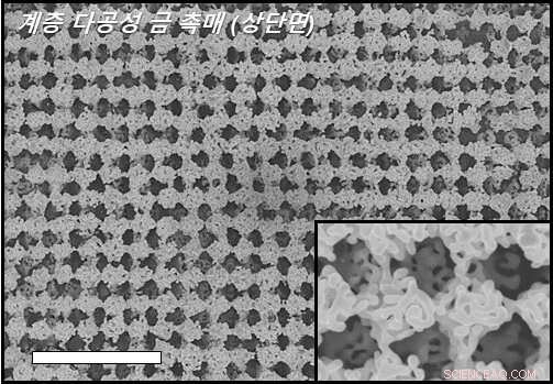 Advanced 3‑D Porous Nanocatalyst Boosts CO₂ Conversion to CO by Nearly 4×
