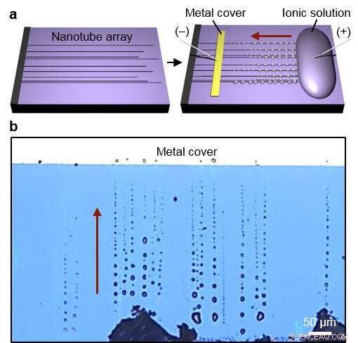 Innovative Study Reveals Hygroscopic Micro/Nanolenses Formed Along Carbon Nanotube Ion Channels