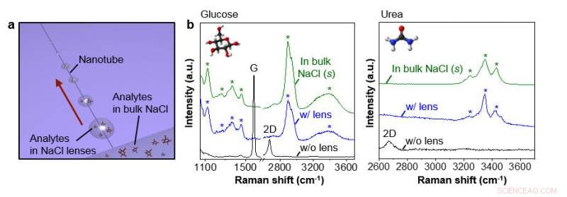 Innovative Study Reveals Hygroscopic Micro/Nanolenses Formed Along Carbon Nanotube Ion Channels
