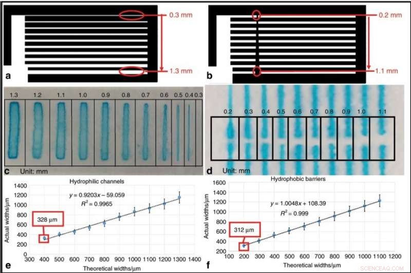 Paper‑Based Atom‑Stamp Devices for Rapid Detection and Extraction of Heavy Metal Ions