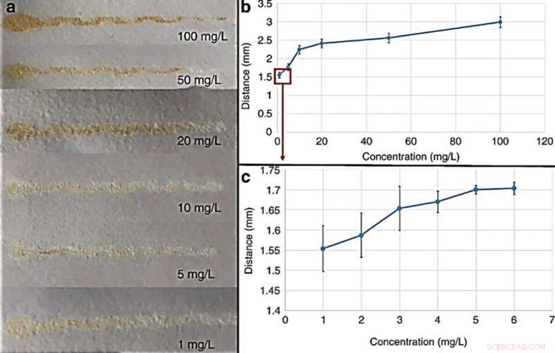 Paper‑Based Atom‑Stamp Devices for Rapid Detection and Extraction of Heavy Metal Ions