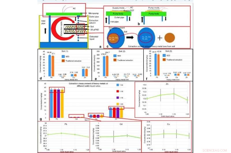 Paper‑Based Atom‑Stamp Devices for Rapid Detection and Extraction of Heavy Metal Ions