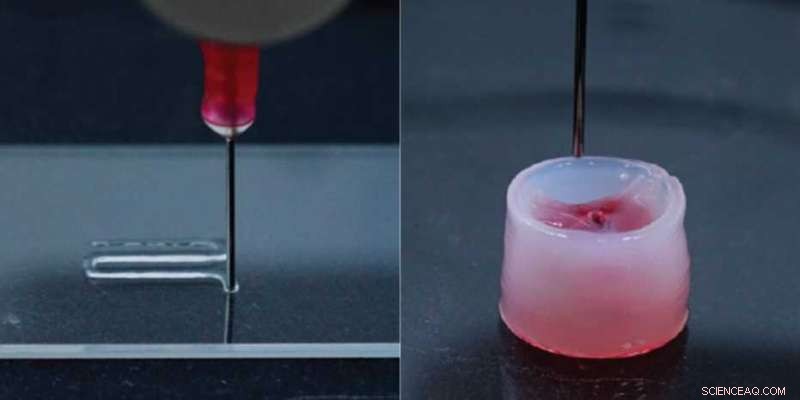 Revolutionary Universal Carrier Ink Enables 3‑D Printed Personalized Implants