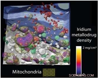 Harnessing Nanoimaging to Optimize Intracellular Drug Efficacy
