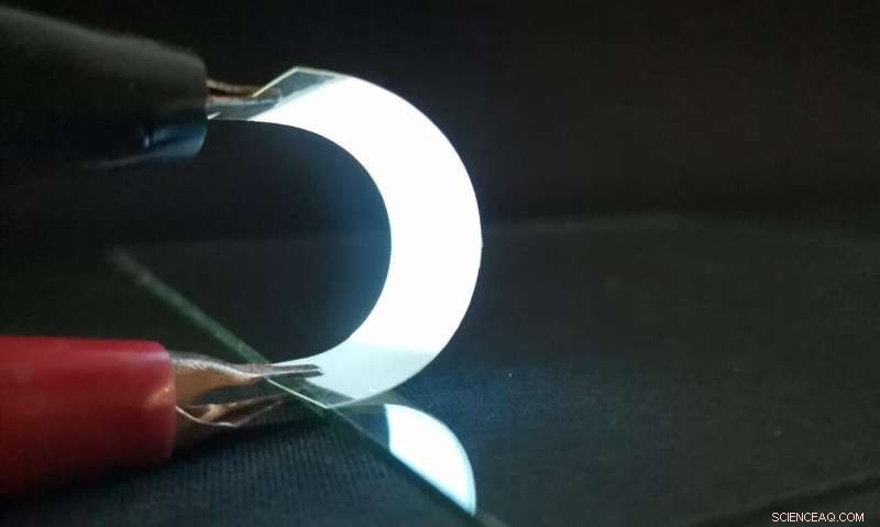 Fish Scales Offer a Green Future for Flexible Wearable Electronics