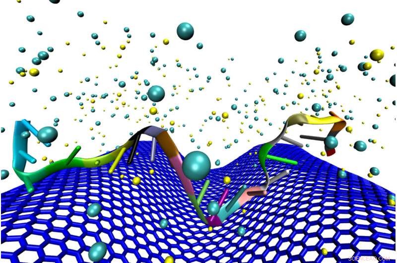 Crumpled Graphene Amplifies Cancer DNA Sensor Sensitivity by 10,000×