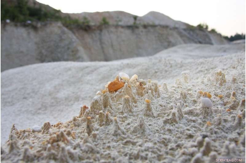 Unleashing Global Carbon Capture: Rare Nanoparticle Offers Breakthrough Pollution Mitigation