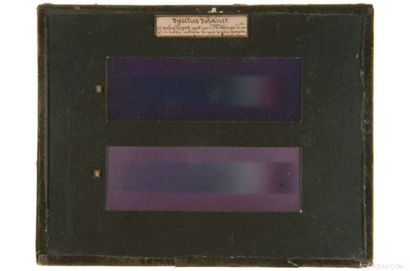 Unveiling the Origin of Colors in the World’s First Color Photograph