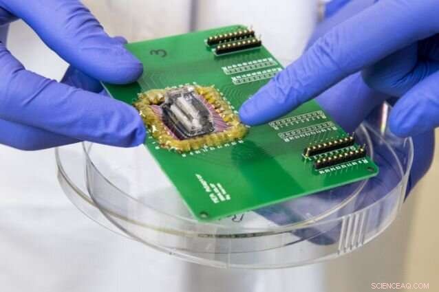 Microfluidic Chip Mimics Heart Attack Conditions for Advanced Ischemia Research