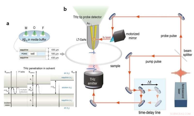 Revolutionary THz Technique Detects Alzheimer’s Protein Aggregates