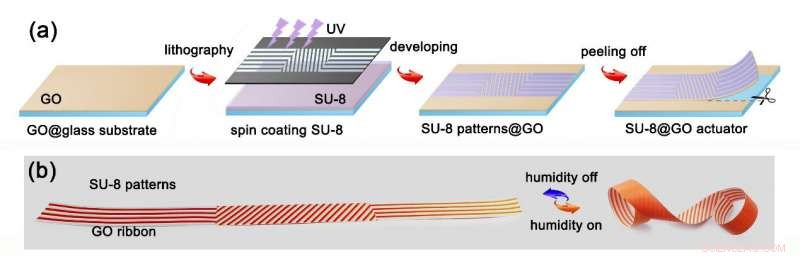 Graphene‑Based Actuator Swarms Deliver Programmable Deformation