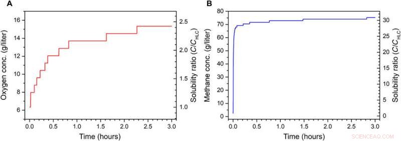 Generating Stable Bulk Nanobubbles in Water via External Electric Fields