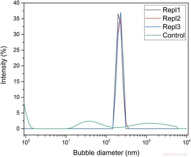 Generating Stable Bulk Nanobubbles in Water via External Electric Fields