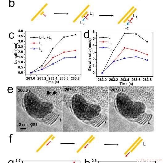 Observing Atomic-Scale Pathways of Ni(OH)₂ Growth with In-Situ Liquid-Cell TEM