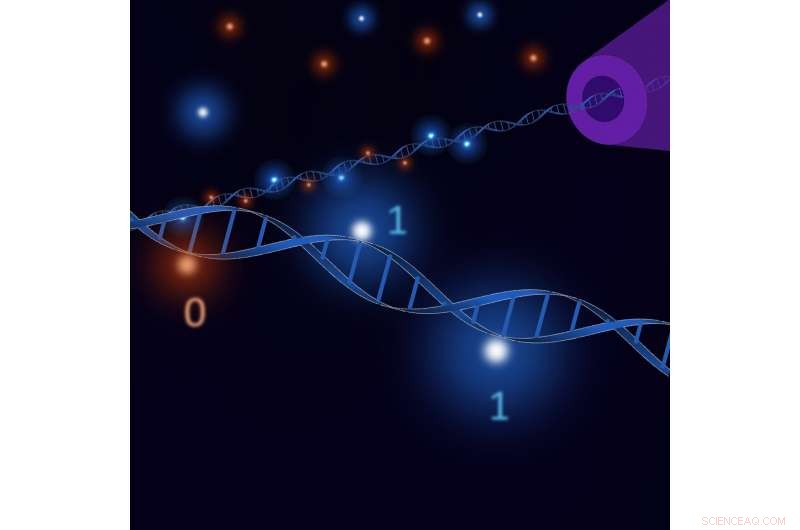 DNA Lego Bricks Enable Rapid, Rewritable Data Storage