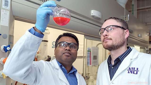 Nanostructure Delivery System Safely Transports Fragile Antiviral Drugs to Target Coronavirus Spike Proteins