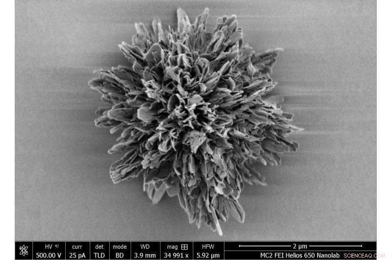 Record-Setting Synthetic Microparticle Exceeds Natural Intricacy